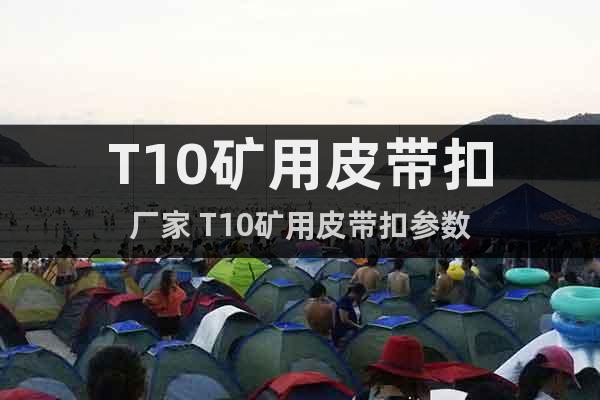 T10礦用皮帶扣廠家 T10礦用皮帶扣參數(shù)