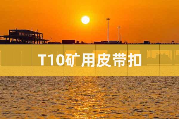 T10礦用皮帶扣