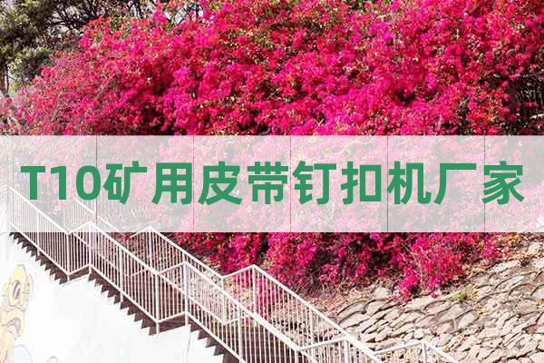 T10礦用皮帶釘扣機廠家