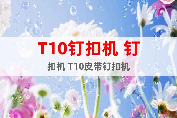 T10釘扣機 釘扣機 T10皮帶釘扣機