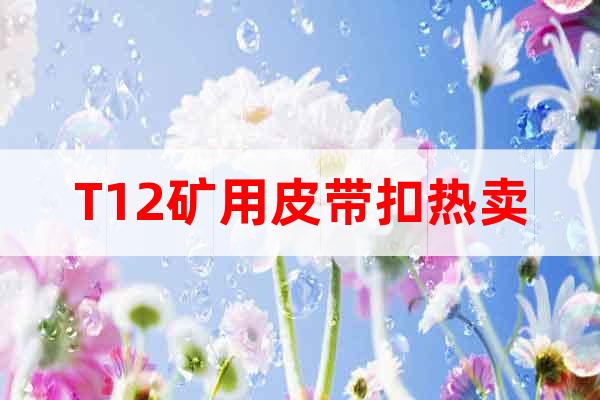 T12礦用皮帶扣熱賣