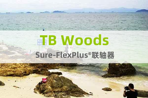 TB Woods Sure-FlexPlus®联轴器