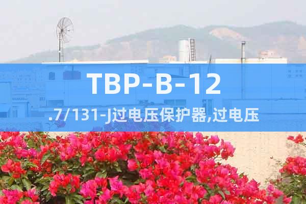 TBP-B-12.7/131-J过电压保护器,过电压保护器
