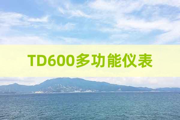TD600多功能儀表