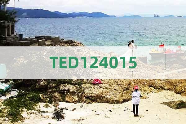 TED124015