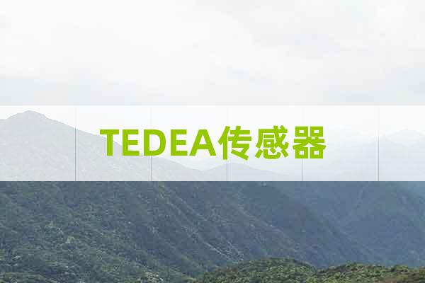 TEDEA傳感器