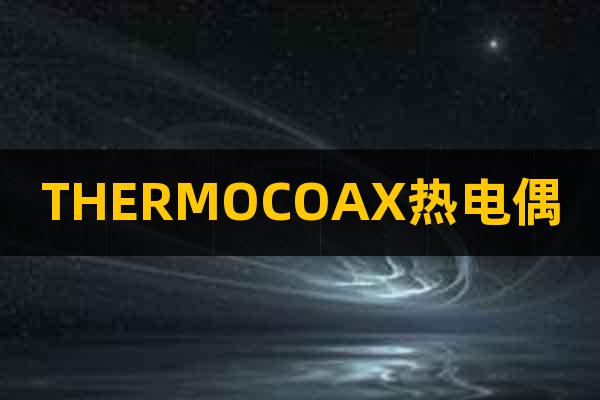 THERMOCOAX熱電偶