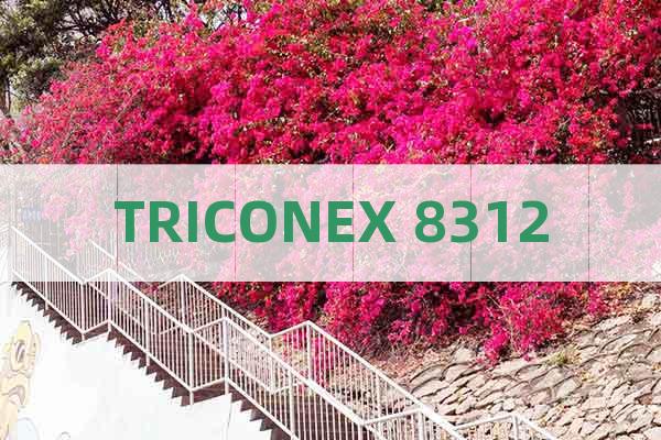 TRICONEX 8312