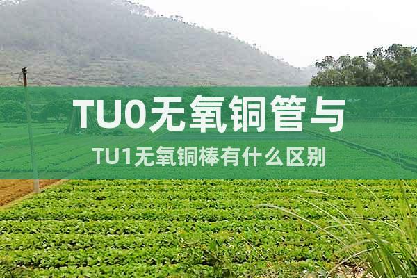 TU0無(wú)氧銅管與TU1無(wú)氧銅棒有什么區(qū)別