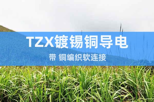 TZX鍍錫銅導(dǎo)電帶 銅編織軟連接