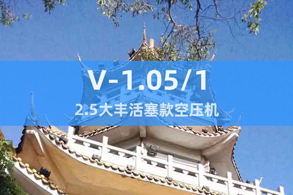 V-1.05/12.5大豐活塞款空壓機(jī)