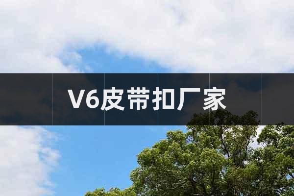V6皮帶扣廠家