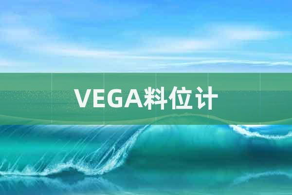 VEGA料位計(jì)