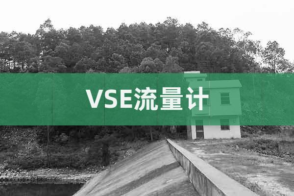 VSE流量計