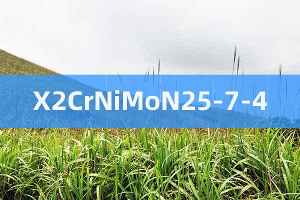 X2CrNiMoN25-7-4