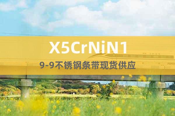 X5CrNiN19-9 不銹鋼條帶現貨供應
