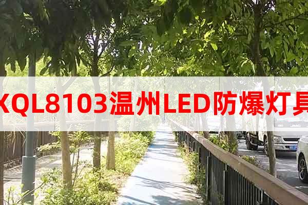 XQL8103温州LED防爆灯具
