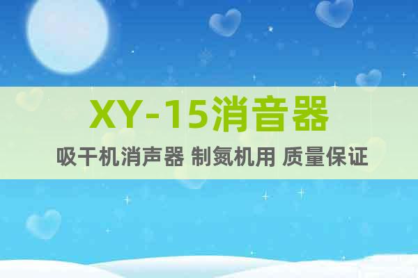 XY-15消音器 吸干機(jī)消聲器 制氮機(jī)用 質(zhì)量保證