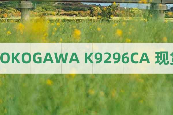 YOKOGAWA K9296CA 现货