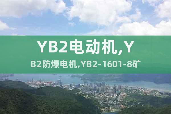 YB2電動機,YB2防爆電機,YB2-1601-8礦用電動機