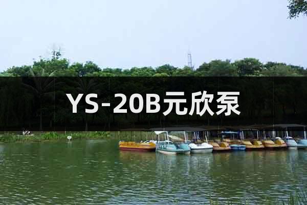 YS-20B元欣泵