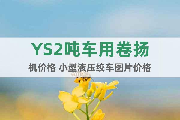YS2噸車用卷揚機價格 小型液壓絞車圖片價格