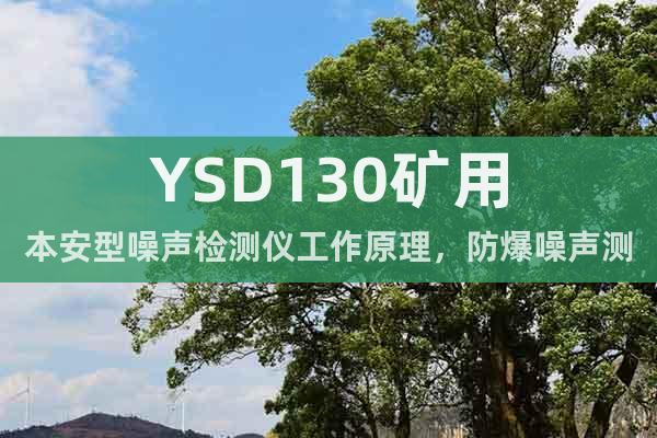 YSD130礦用本安型噪聲檢測儀工作原理，防爆噪聲測定器用途