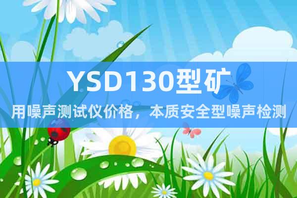 YSD130型礦用噪聲測試儀價格，本質安全型噪聲檢測儀優(yōu)勢