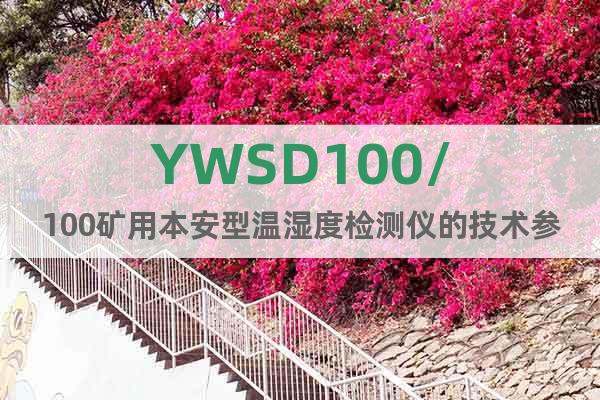 YWSD100/100矿用本安型温湿度检测仪的技术参数