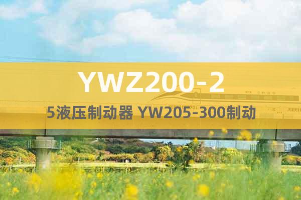 YWZ200-25液压制动器 YW205-300制动器