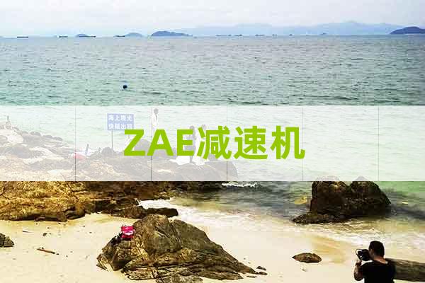 ZAE減速機