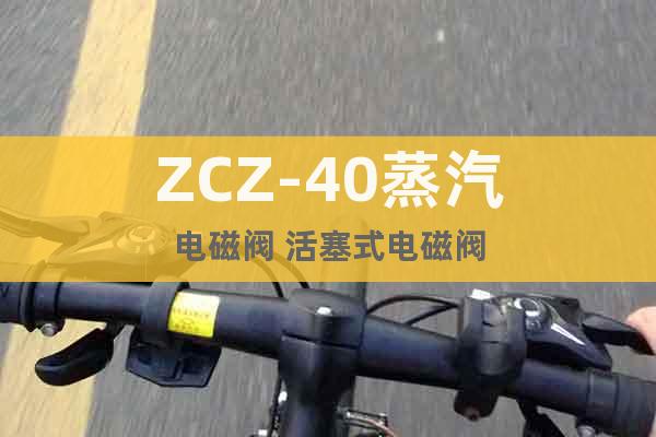 ZCZ-40蒸汽电磁阀 活塞式电磁阀