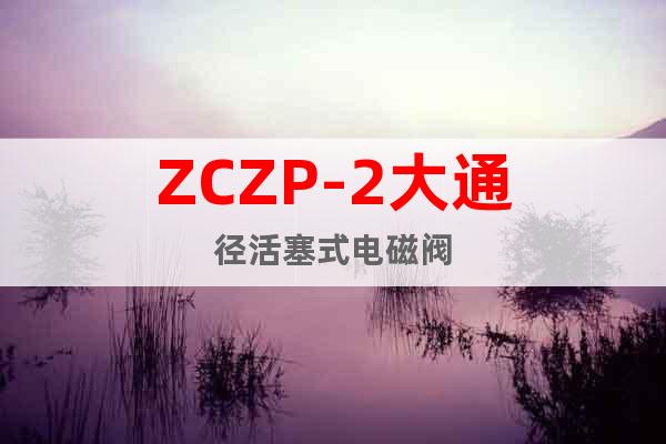 ZCZP-2大通径活塞式电磁阀