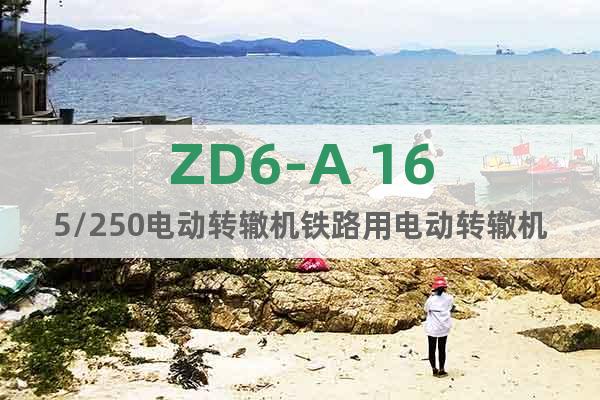 ZD6-A 165/250電動轉轍機鐵路用電動轉轍機廠家