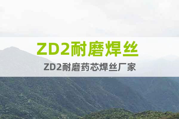 ZD2耐磨焊丝 ZD2耐磨药芯焊丝厂家