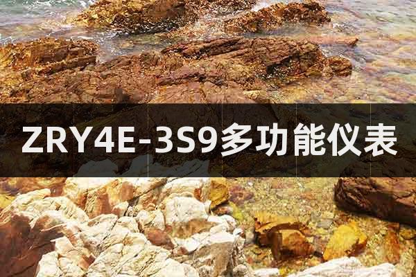 ZRY4E-3S9多功能儀表