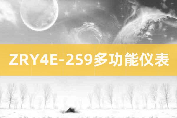 ZRY4E-2S9多功能儀表