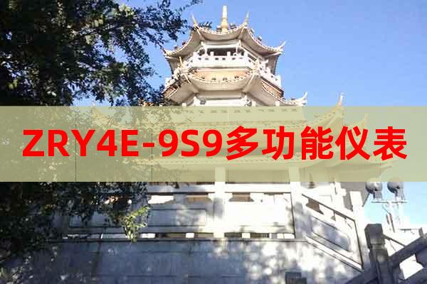 ZRY4E-9S9多功能儀表