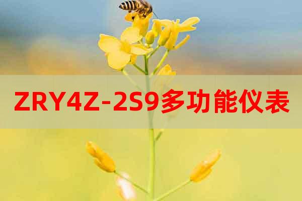 ZRY4Z-2S9多功能仪表