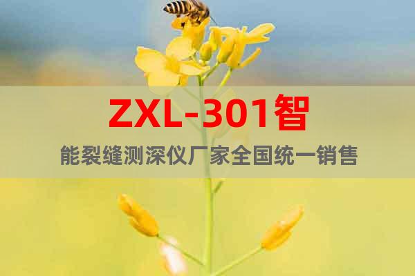 ZXL-301智能裂縫測深儀廠家全國統(tǒng)一銷售