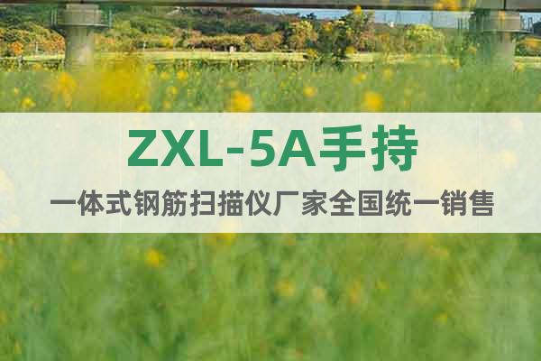 ZXL-5A手持一体式钢筋扫描仪厂家全国统一销售