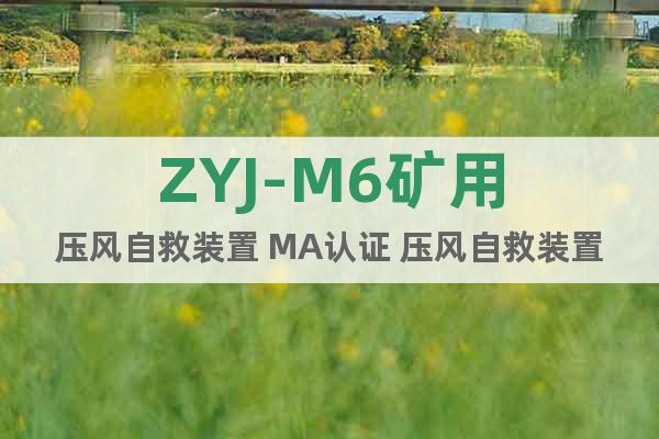 ZYJ-M6矿用压风自救装置 MA认证 压风自救装置直销