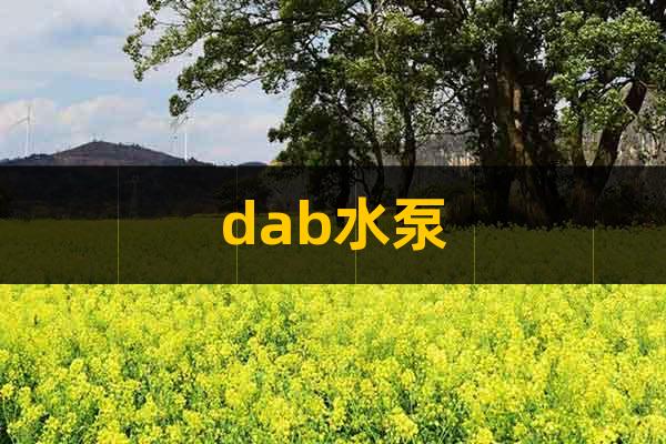 dab水泵