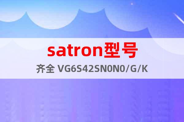 satron型號齊全 VG6S42SN0N0/G/K31