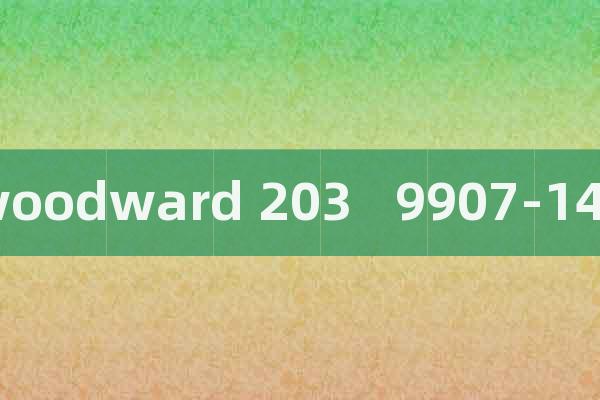 woodward 203   9907-149