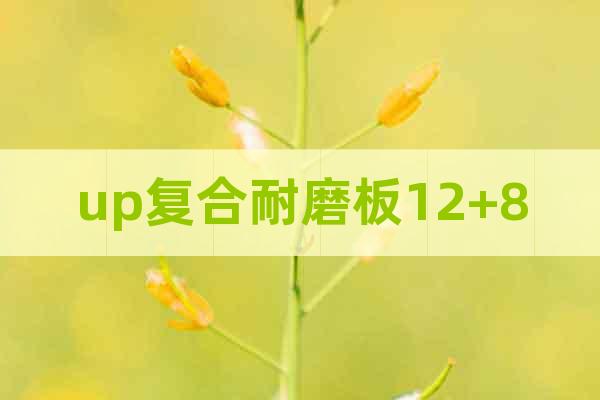 up復合耐磨板12+8