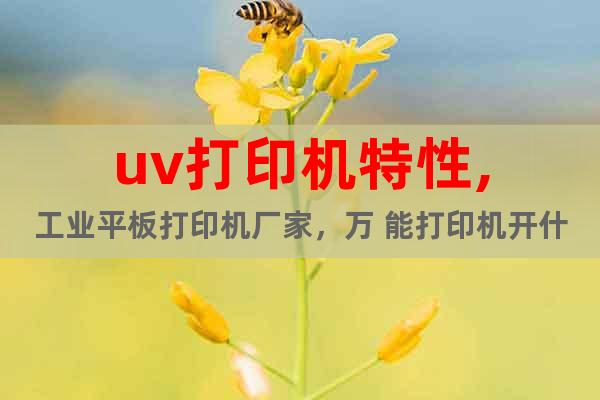 uv打印機(jī)特性,工業(yè)平板打印機(jī)廠家，萬 能打印機(jī)開什么店
